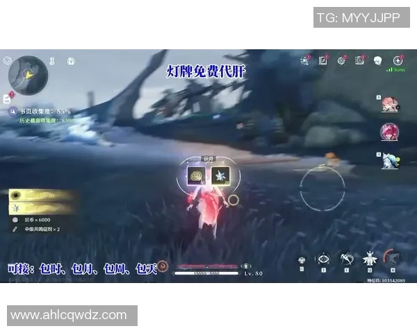 从零开始掌握英雄联盟团队配合技巧全方位攻略与实战经验分享