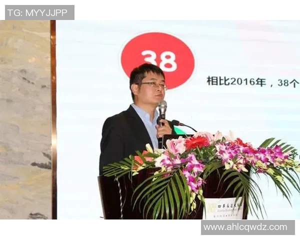 深度探讨王磊在英雄联盟中的成长与挑战之路