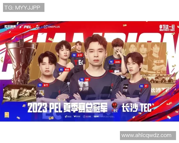 2026电竞新闻和平精英深度解析LNG战队的战术盯防与应对策略